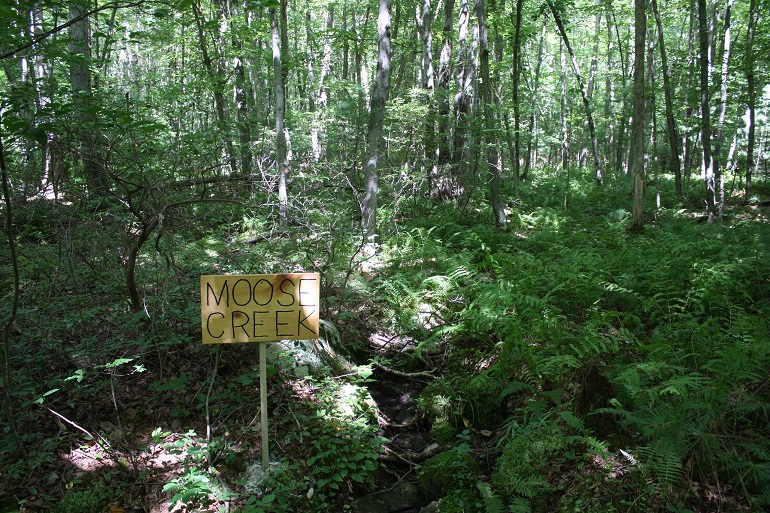 MooseCreek2